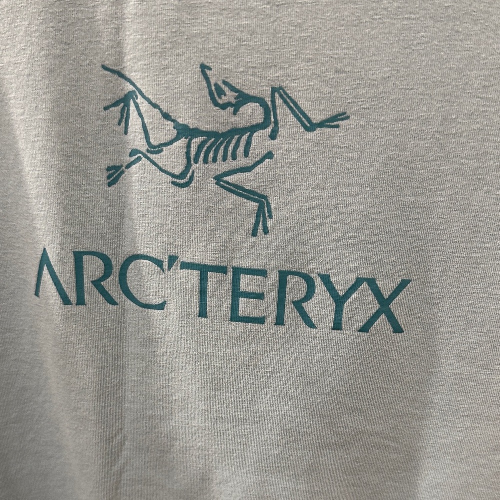 Arc'teryx Light green Tee with Teal Logo